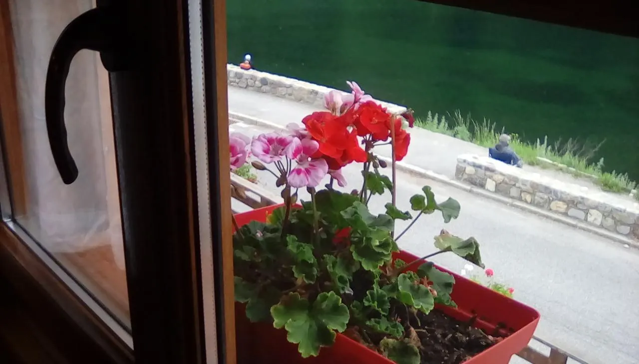 Grand Chalet Du Lac Du Boreon Saint-Martin-Vesubie Guest house